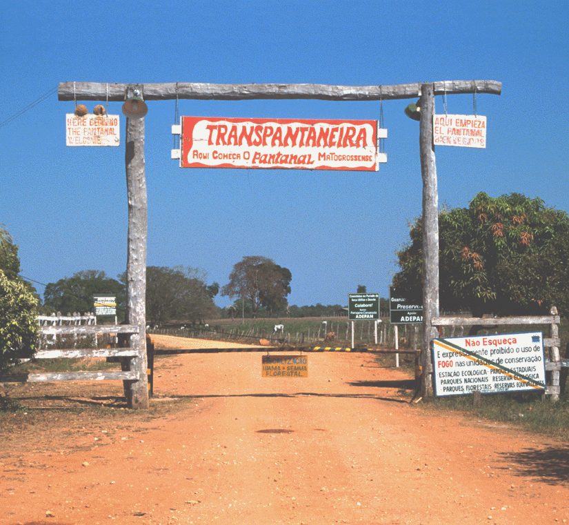 pantanal2
